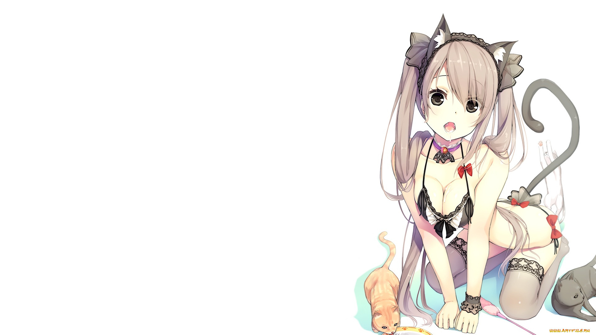 , ,  , , 